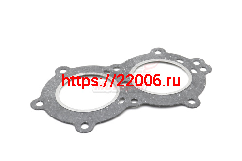 Прокладка Нептун 23 головки паронит обвальцованная (161100020)
