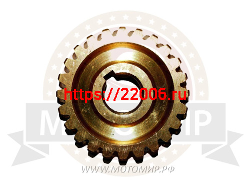 Шестерня червячного редуктора снегоуборочной л.с. машины 24 зуб. D19, внешний диам. 66 мм фото 2