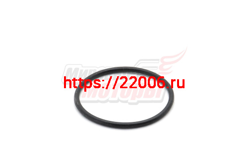 Кольцо уплотнительное CHAMPION BC9713 ведущего вала привода цепи 43,5х2,6 (111020710001)