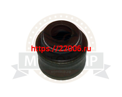 Колпачок маслосъемный CB250 см3 Zongshen ZS 170MM-2 (100200729)