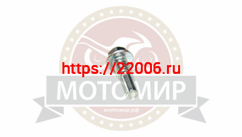 Болт ролика натяжителя цепи ГРМ Альфа, Zodiak (гладкого), среднего (в цилиндр) Болт ролика натяжителя цепи ГРМ Альфа, Zodiak (гладкого), среднего (в цилиндр)
