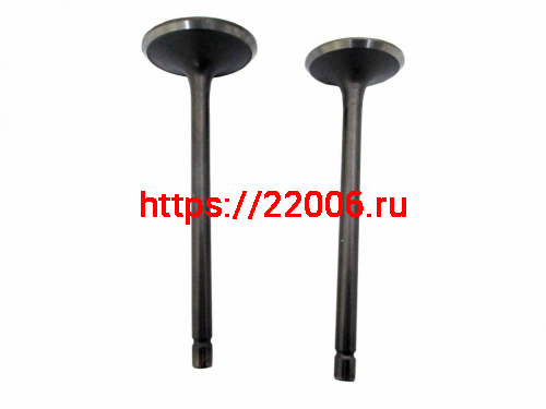 Клапана ГБЦ CG250 167MM/FMM (d=29/34) (I=90/90) Клапана ГБЦ CG250 167MM/FMM (d=29/34) (I=90/90)