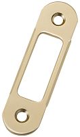 B01000.40.23 AGB (АГБ) Ответная планка (мат. латунь)