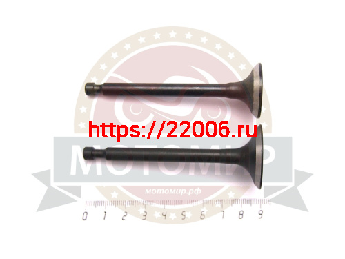 Клапан впускной + выпускной 173F (d5.5мм, 69,5*30,5/69,5*25,5мм) (GХ 240) (YT-GP-000237) Клапан впускной + выпускной 173F (d5.5мм, 69,5*30,5/69,5*25,5мм) (GХ 240) (YT-GP-000237)