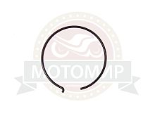 Пружина грузиков сцепления LIFAN 168 - 190F-R (21117)