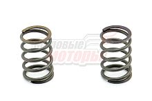 Пружины клапанов (пара) 144F