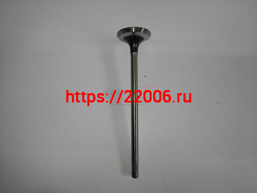 Клапан впускной CS35 (H150061000)