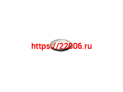 Прокладка кольцо глушителя Suzuki Address 110 d-37 TW