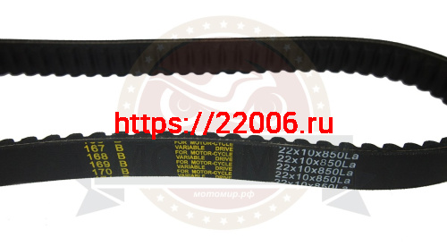 Ремень вариатора 840х22х10 (850 La) 203785 ( вариатором TAV2 40,ФОРВАРД) фото 2