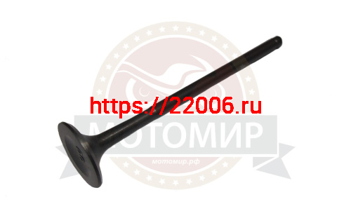 Клапан выпускной CB250 см3 Zongshen ZS 170MM-2 (100200652)